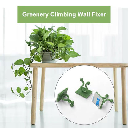 10pcs/lot Invisible Wall Rattan Clamp Clip Plant