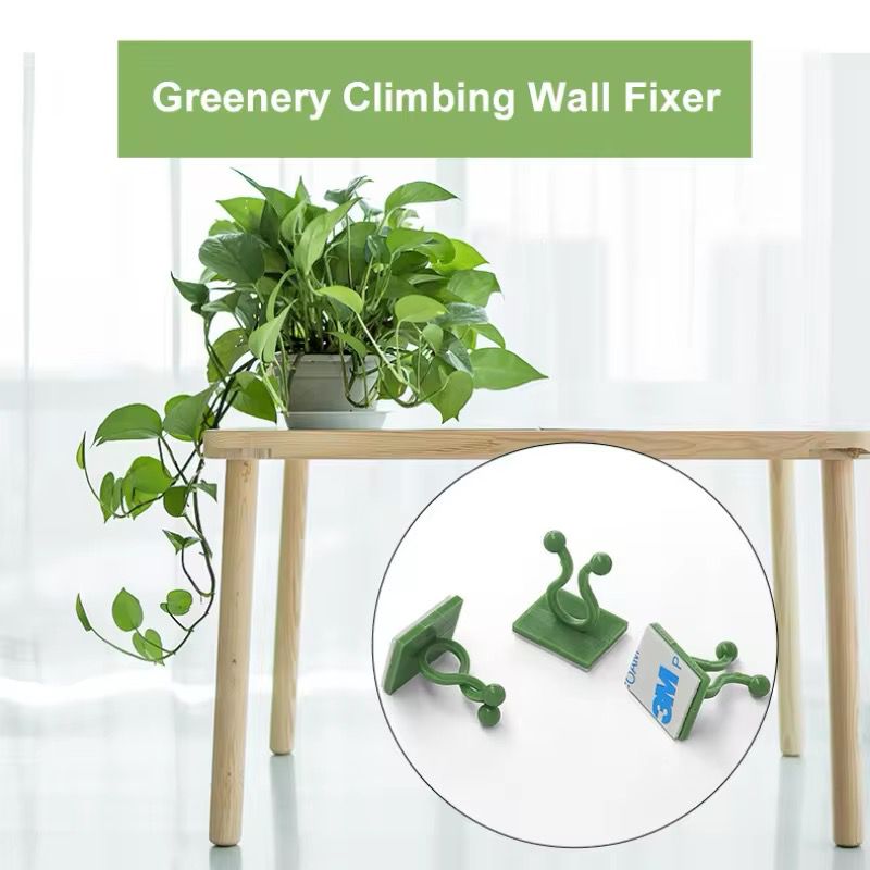 10pcs/lot Invisible Wall Rattan Clamp Clip Plant