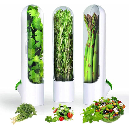 Herb and Vegetable Fresh-Keeping Cup kitchen Storage Vegetable Preservation Bottle Kitchen Storage cup 