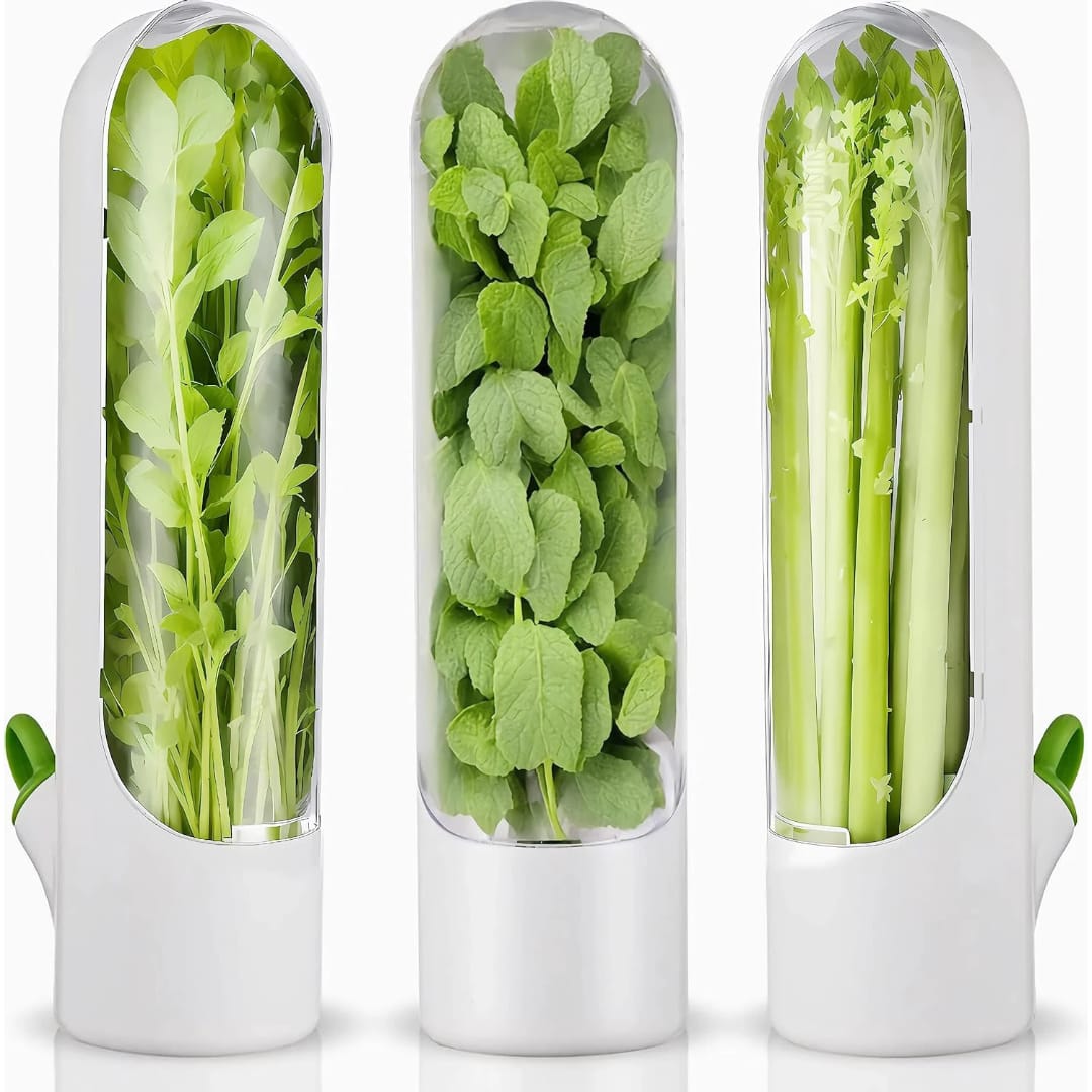 Herb and Vegetable Fresh-Keeping Cup kitchen Storage Vegetable Preservation Bottle Kitchen Storage cup 