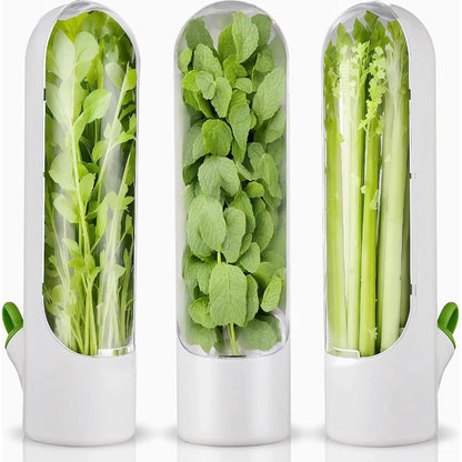 Herb and Vegetable Fresh-Keeping Cup kitchen Storage Vegetable Preservation Bottle Kitchen Storage cup 
